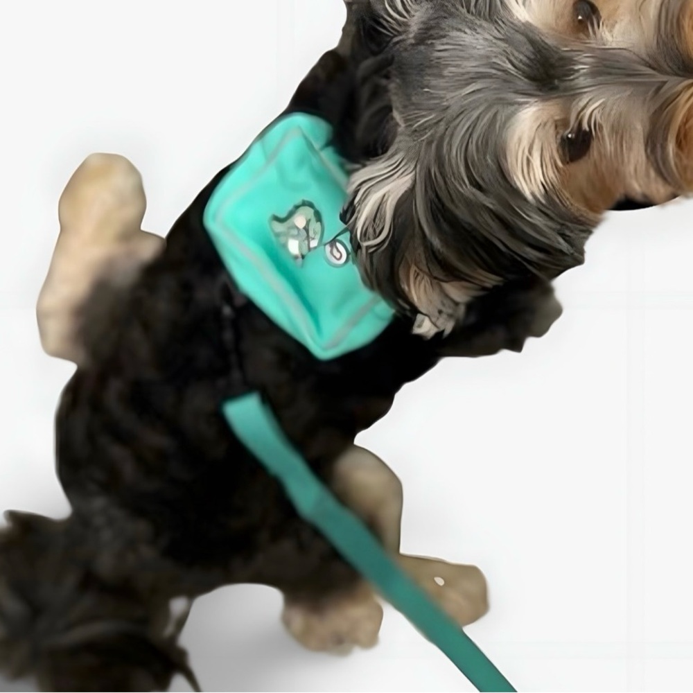 Dog harness & leash set  with Teal Backpack cute